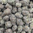 BERRY GELATO