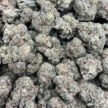 GG4