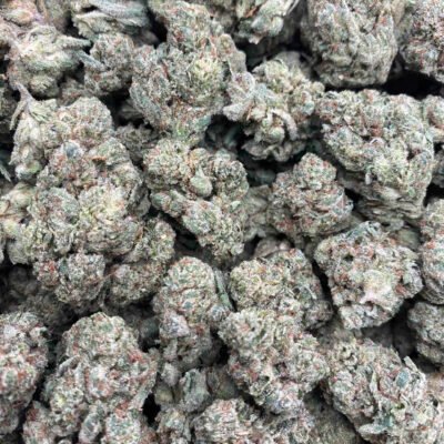 GG4
