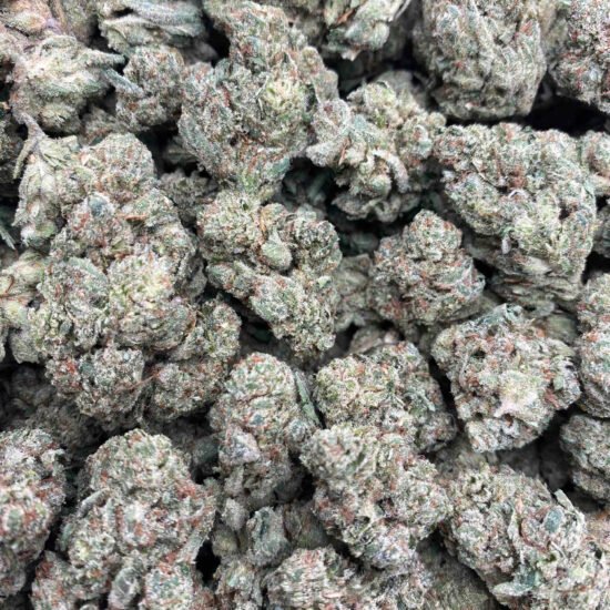 GG4