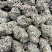 GORILLA GLUE