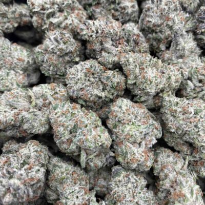GORILLA GLUE