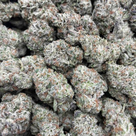 GORILLA GLUE