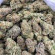 GRAPE GAS
