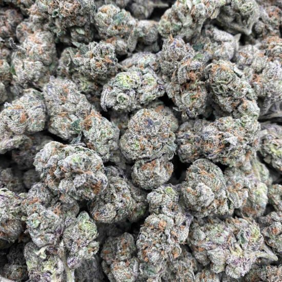 LEMON CHERRY RUNTZ