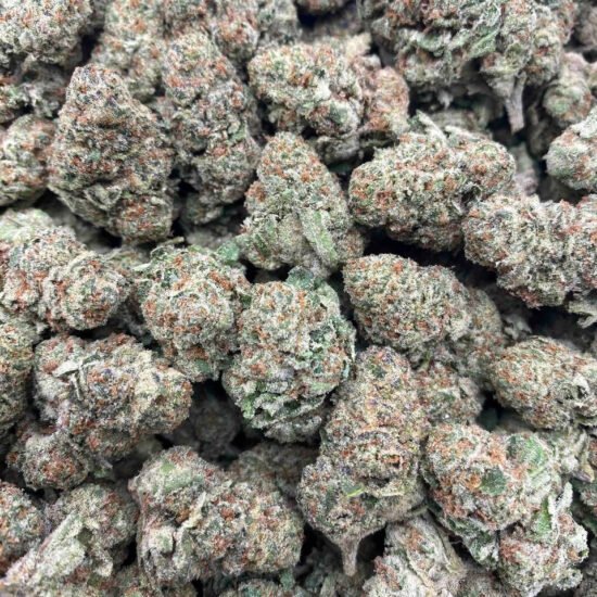 PINK RUNTZ